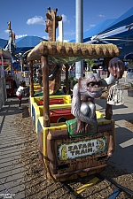 Safari Train