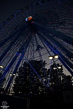 Texas Star