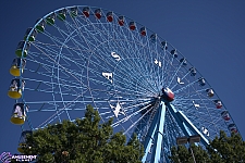 2026 Fair