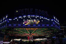 Beetle Bobs