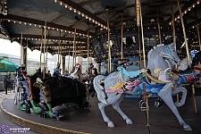 Dentzel Carousel