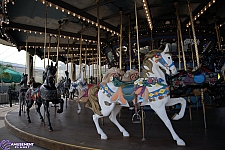 Dentzel Carousel
