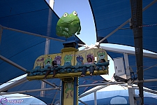 Frog Hopper