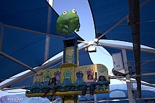 Frog Hopper