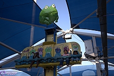 Frog Hopper
