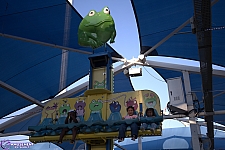 Frog Hopper
