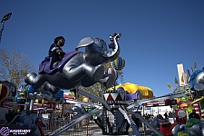Jumping Jumbos