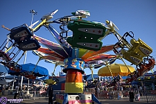 Kite Flyer