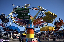 Kite Flyer
