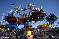 Kite Flyer