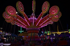 Lolli Swing
