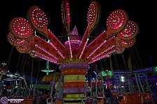 Lolli Swing