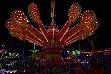 Lolli Swing