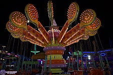 Lolli Swing
