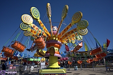 Lolli Swing
