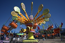 Lolli Swing