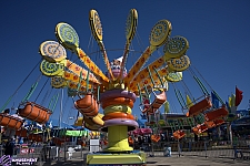 Lolli Swing