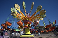 Lolli Swing