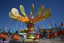 Lolli Swing