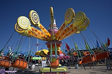 Lolli Swing