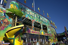 Monkey Maze