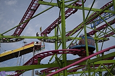Crazy Mouse