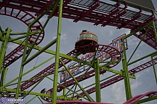 Crazy Mouse