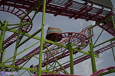 Crazy Mouse