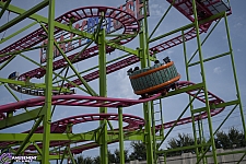 Crazy Mouse