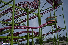 Crazy Mouse