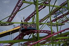 Crazy Mouse