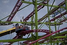 Crazy Mouse