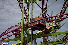 Crazy Mouse