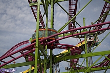 Crazy Mouse