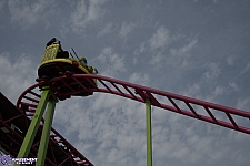 Crazy Mouse