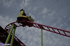 Crazy Mouse