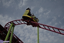 Crazy Mouse