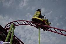 Crazy Mouse