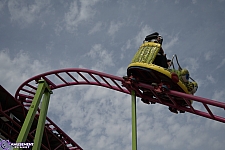 Crazy Mouse