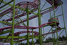 Crazy Mouse