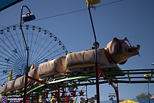 Puppy Express