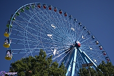 Texas Star