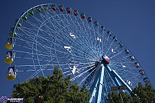 Texas Star