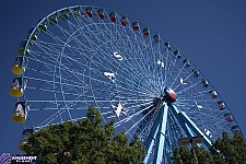 Texas Star