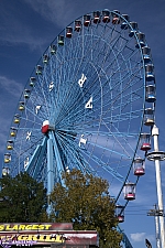 Texas Star