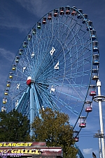 Texas Star