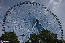 Texas Star