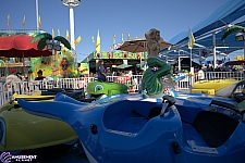 Winky the Whale