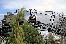 Curse of the Werewolf