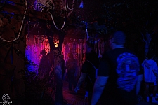 Halloween Horror Nights 2025